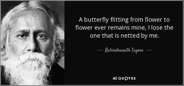 quote-a-butterfly-flitting-from-flower-to-flower-ever-remains-mine-i-lose-the-one-that-is-rabindranath-tagore-94-21-27.jpg