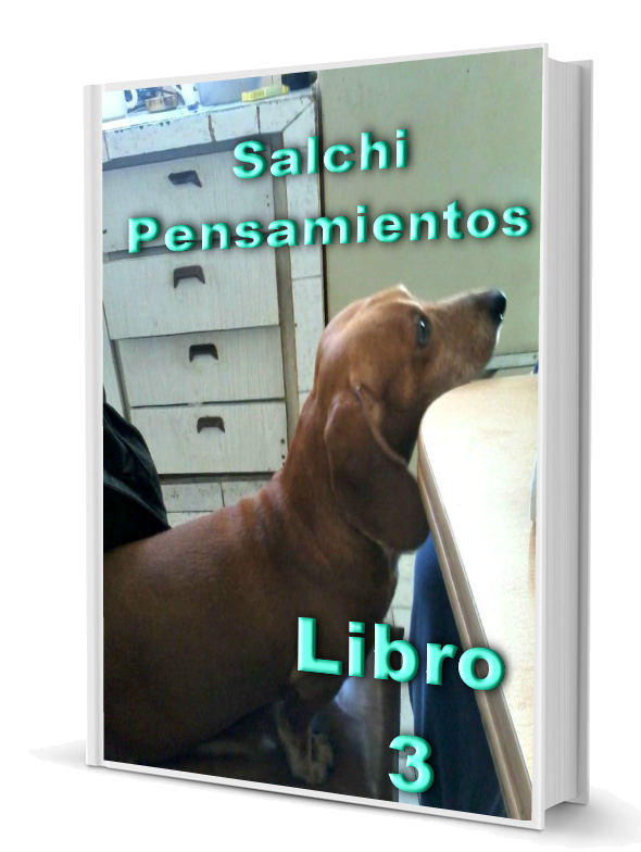 Libro Salchi Pensamientos 3 3D.png