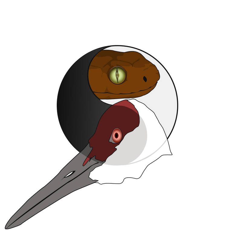 yinyang crane snake.png