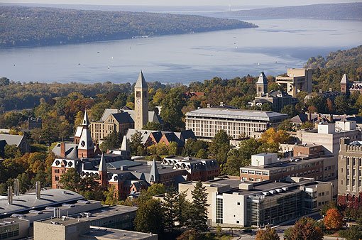 cornell.jpg