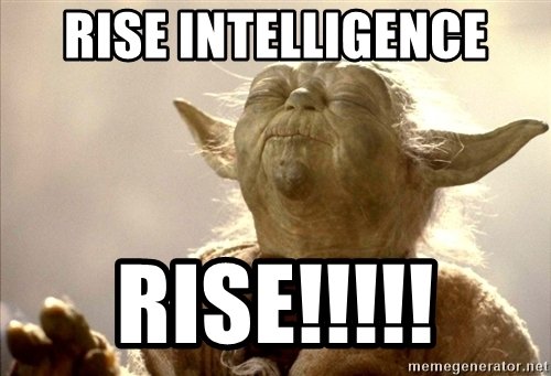 rise-intelligence-rise.jpg