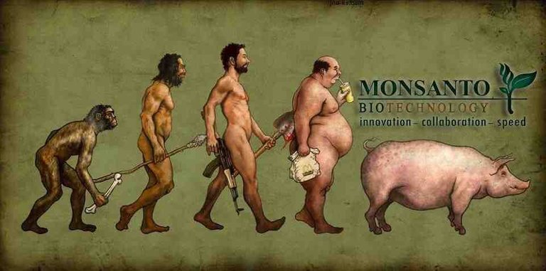 monsanto-evolution.jpg