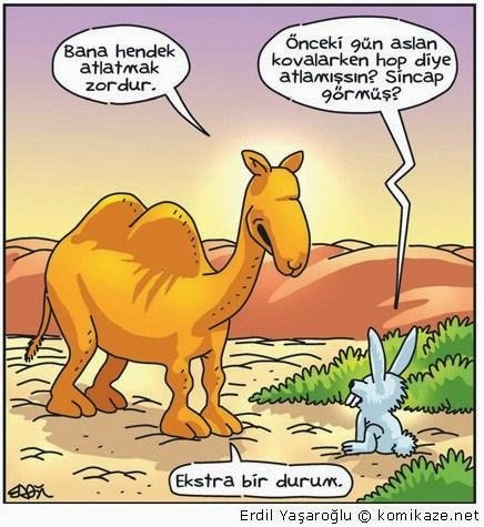 deveye-hendek-atlatmak-karikaturu.jpg