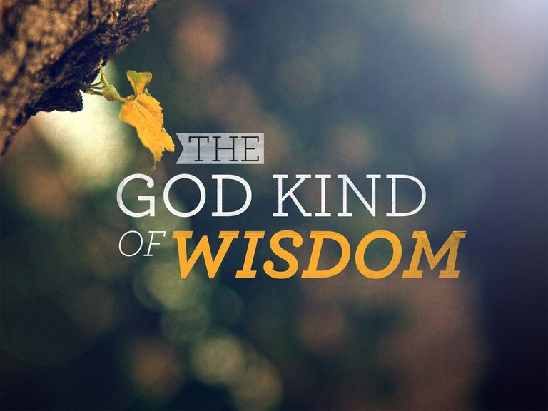 the_god_kind_of_wisdom_std_t_nv.jpg