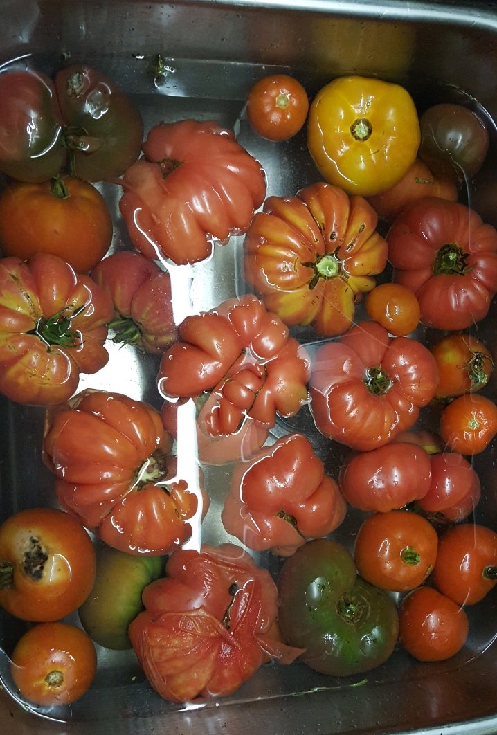 20171004_191216_crop_718x1062.jpg
