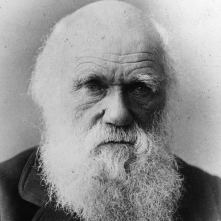 charles-darwin-9266433-1-402.jpg