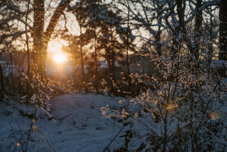 Winter snowfall in Worcestershire-14.jpg