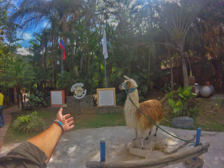 GOPR3535_1525643031339_high-01.jpeg