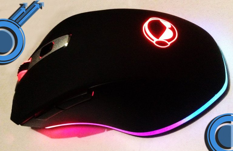 mouse3.jpg