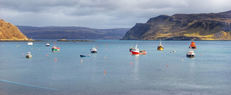 Fish boats in Portree.jpeg