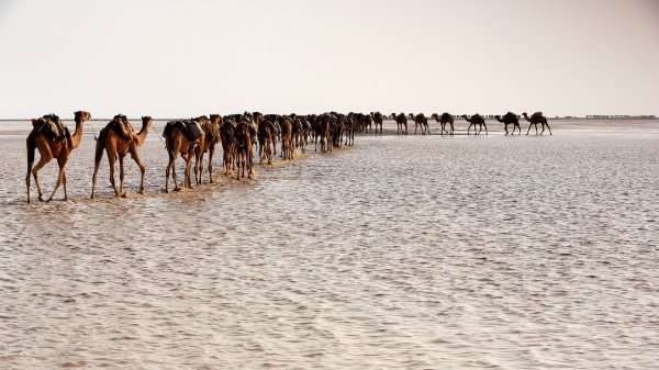 medium_danakil-desert-ethiopia.jpg