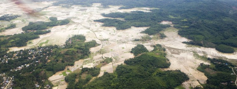 deforestation-overviewXL_278723.jpg