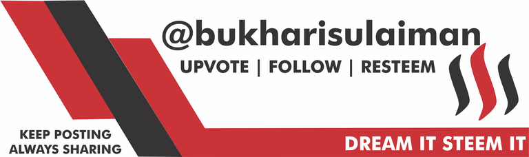 bukharis.png