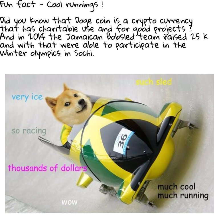 dogedoge-PixTeller-78069.jpg