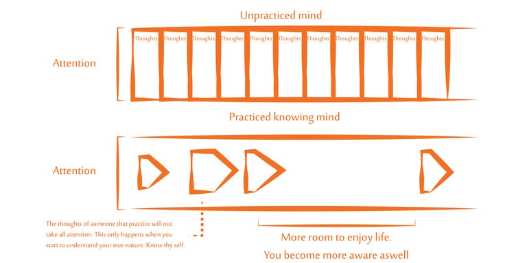 meditation graph-01.jpg