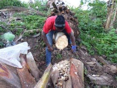 palm wine.jpg