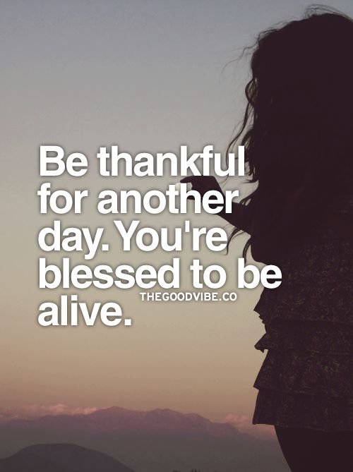 28b85f36baa84768148596e70b4edd80--inspirational-picture-quotes-thankful-for.jpg