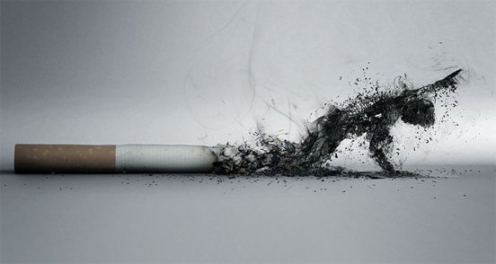 the-smoking-effect-l[1].jpg