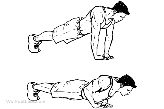 Diamond_Pushup_M_WorkoutLabs.png