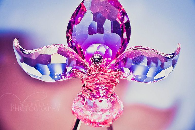 ___pink_crystal_flower____by_torri012-d2s6fnj.jpg