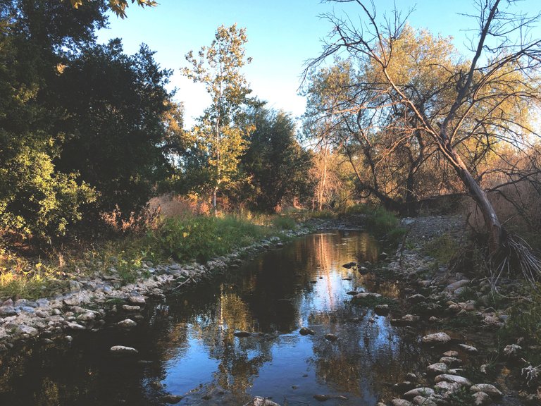 Nature Creek Trail - October California 002.JPG