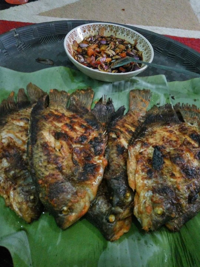 ikan siap saji.jpg