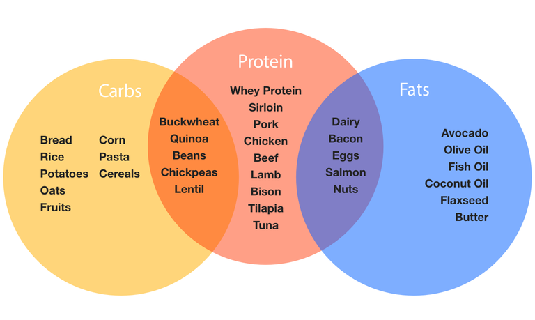 macros-protein-carbs-fat-chart.png