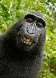 ape-selfie.jpg