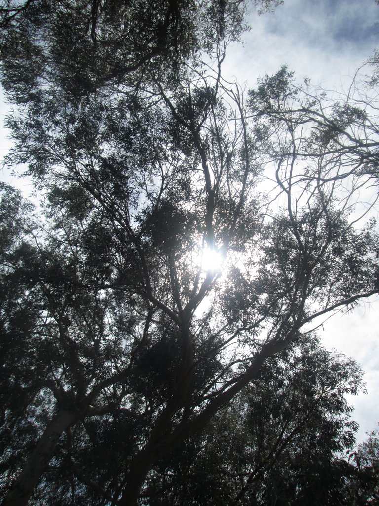 IMG_0640.JPG