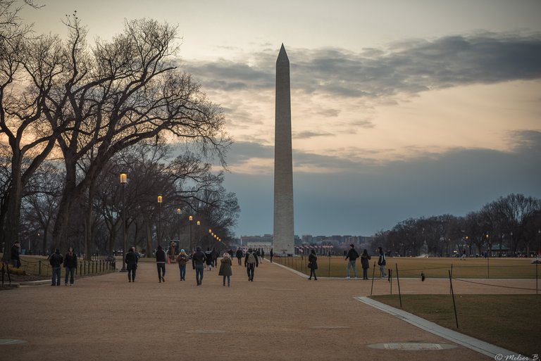 Washington Dc Landscapes  (1 of 1)-3.JPG