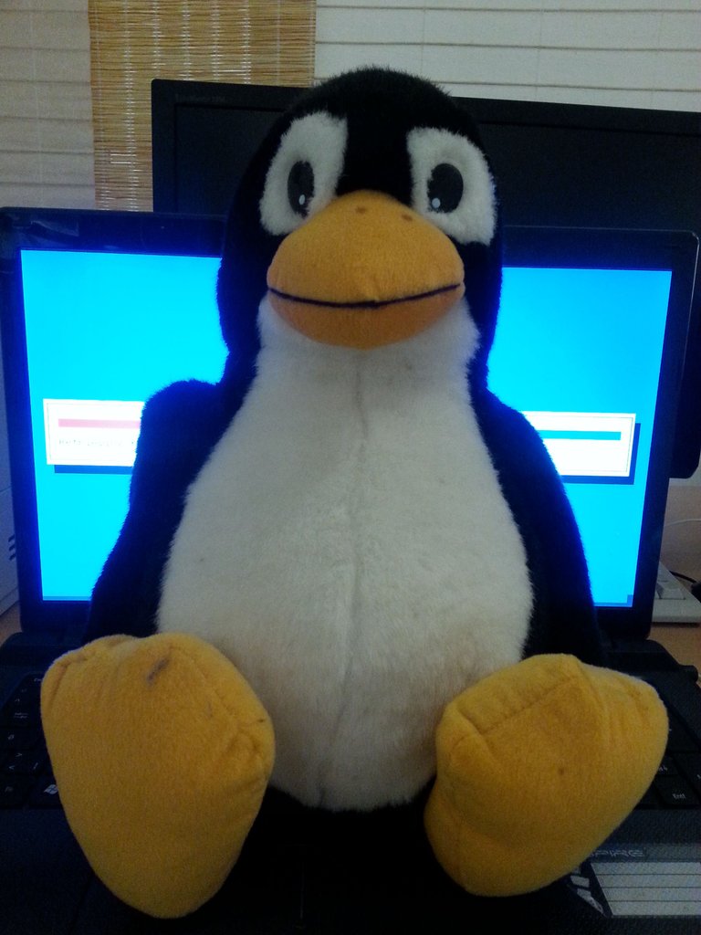 tux.jpg