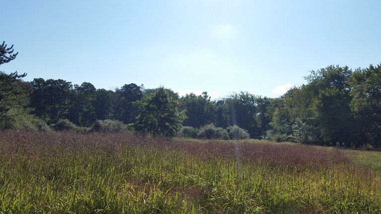 20170916_094337.jpg