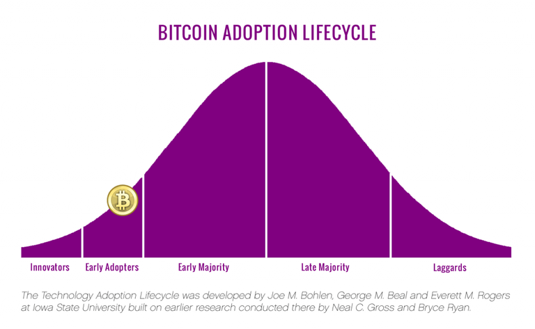 btc adopt.png