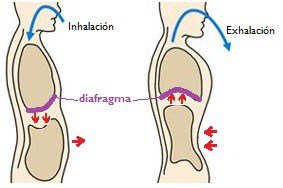 respiración-diafragmática.jpg