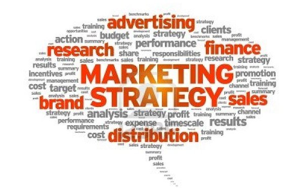 Essay-Marketing-Strategies-For-Big-Companies.-Discuss-Its-Impact..jpg