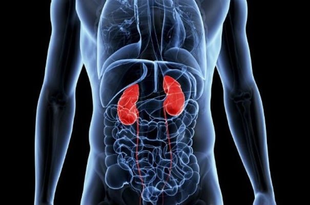 Kidneys-Doomed-Fail.jpg