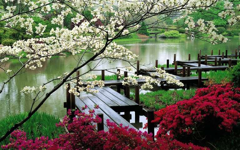 Japanese Garden Plants Pictures 20270 Wallpaper  Wallpaper hd.jpg