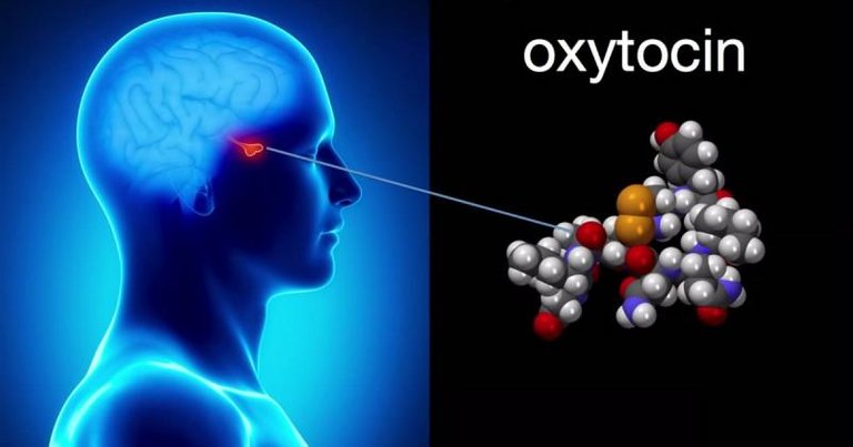 benefits-of-oxytocin.jpg