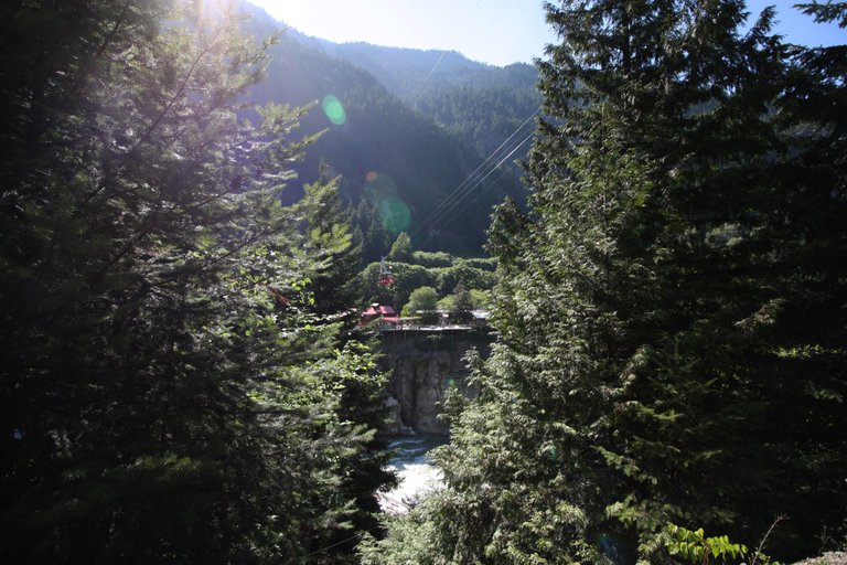 Tram from Below.jpg