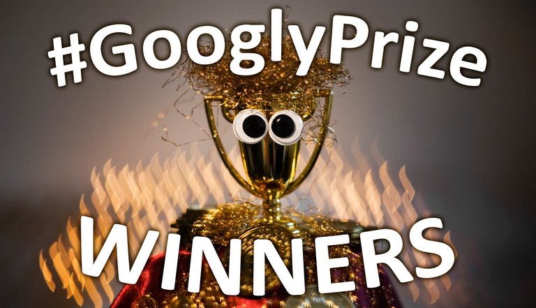 GooglzPriye Winners 05