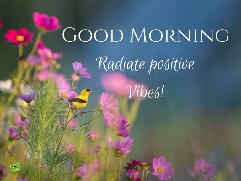 297747-Good-Morning-Radiate-Positive-Vibes.jpg