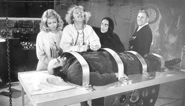 7 young frankenstein.jpg