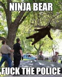 bear ninja.jpeg