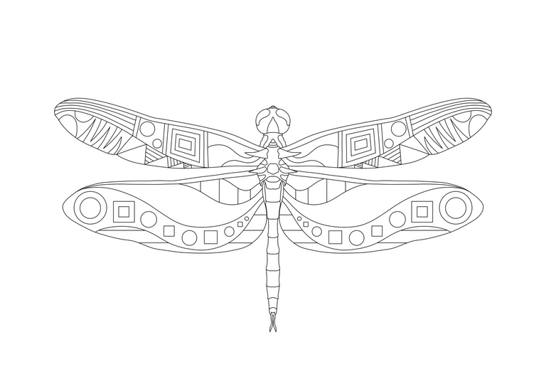dragonflystencil.png