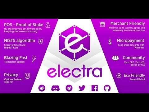 electra eca.jpg