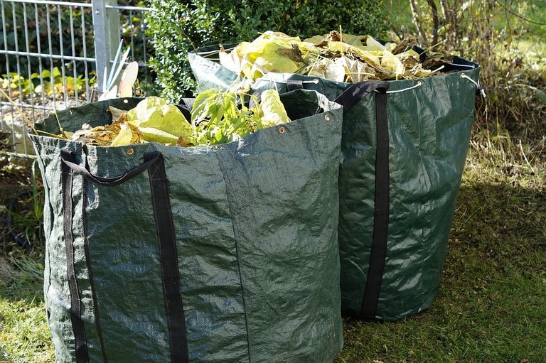 garden-waste-1047259_960_720.jpg