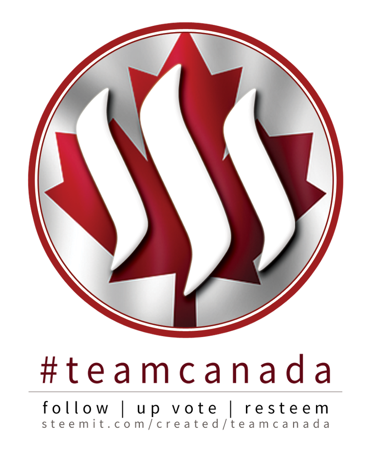 TEAMCANADA-SIGN.png