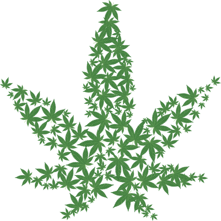 cannabis-2125586_1280.png