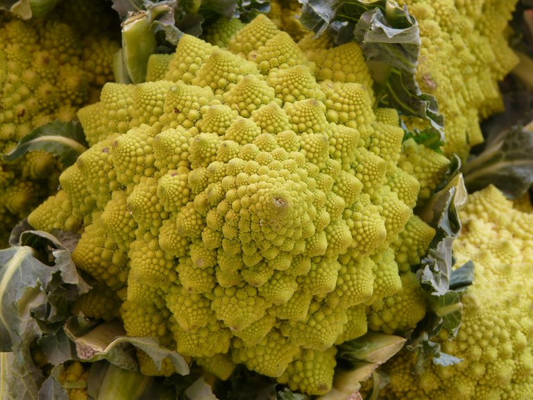 romanesco-6996_1920.jpg