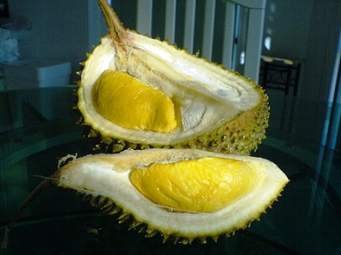 musang king.jpg